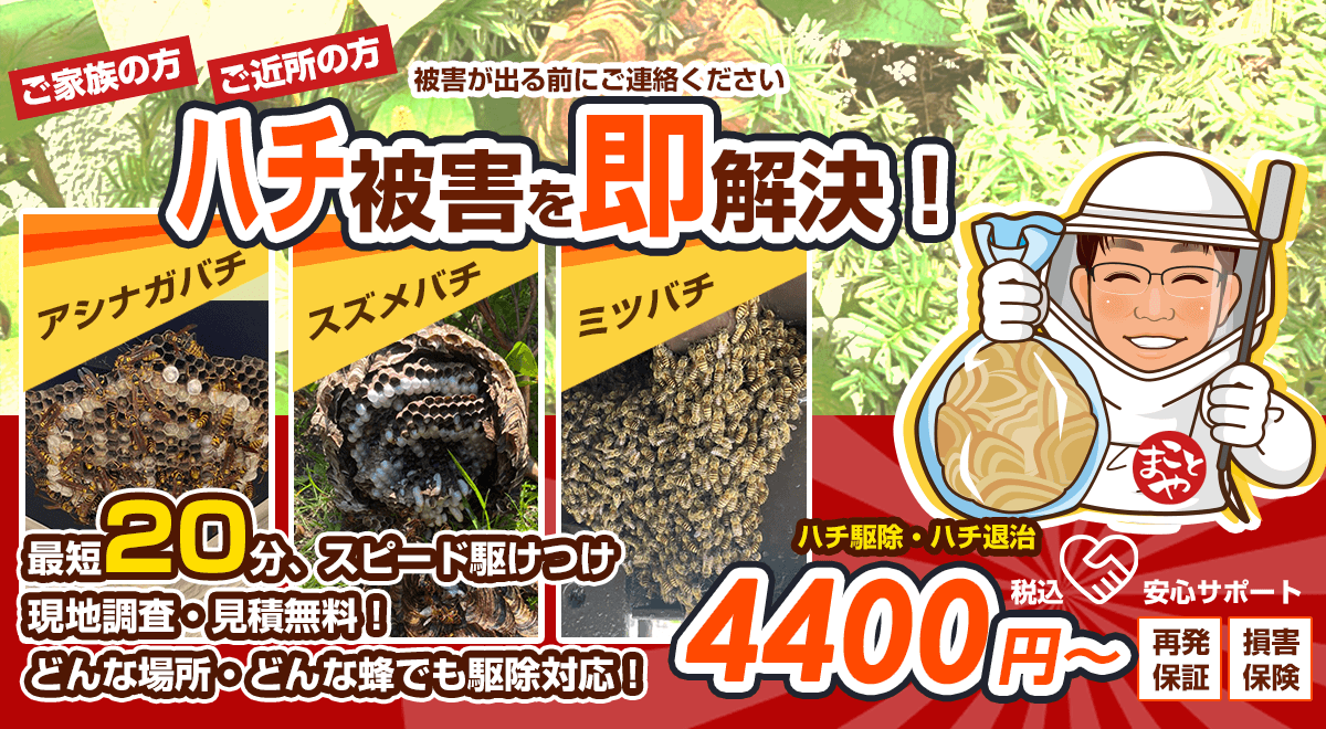 蜂被害を即解決！関東エリアの蜂・蜂の巣 のお悩み、お任せください！