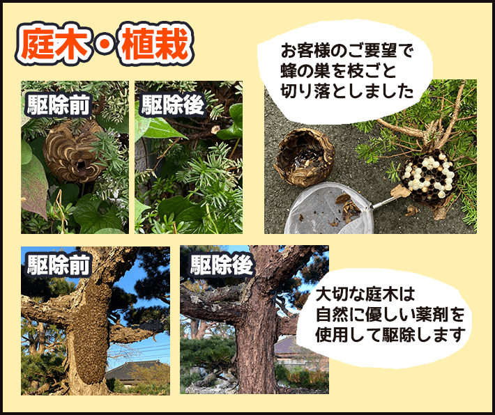 庭木・植栽：お客様のご要望に応じ、蜂の巣を枝ごと切り落としたり、自然に優しい薬剤を使用して駆除したりします。